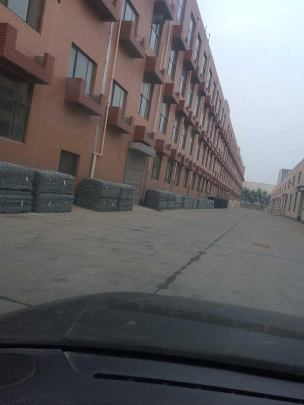 ������Ƭ