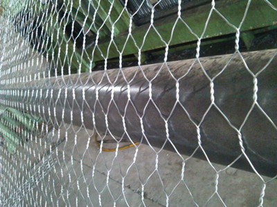 ��пʯ����